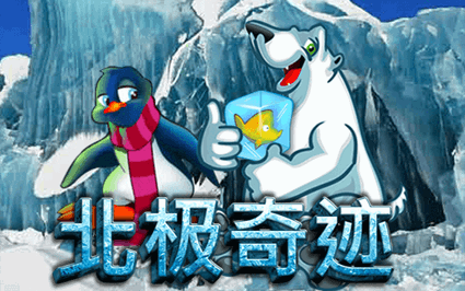 北极奇迹